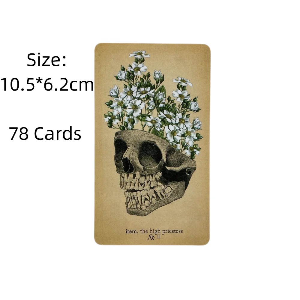 The Antique Anatomy Tarot Card - Card Game Deck review and price