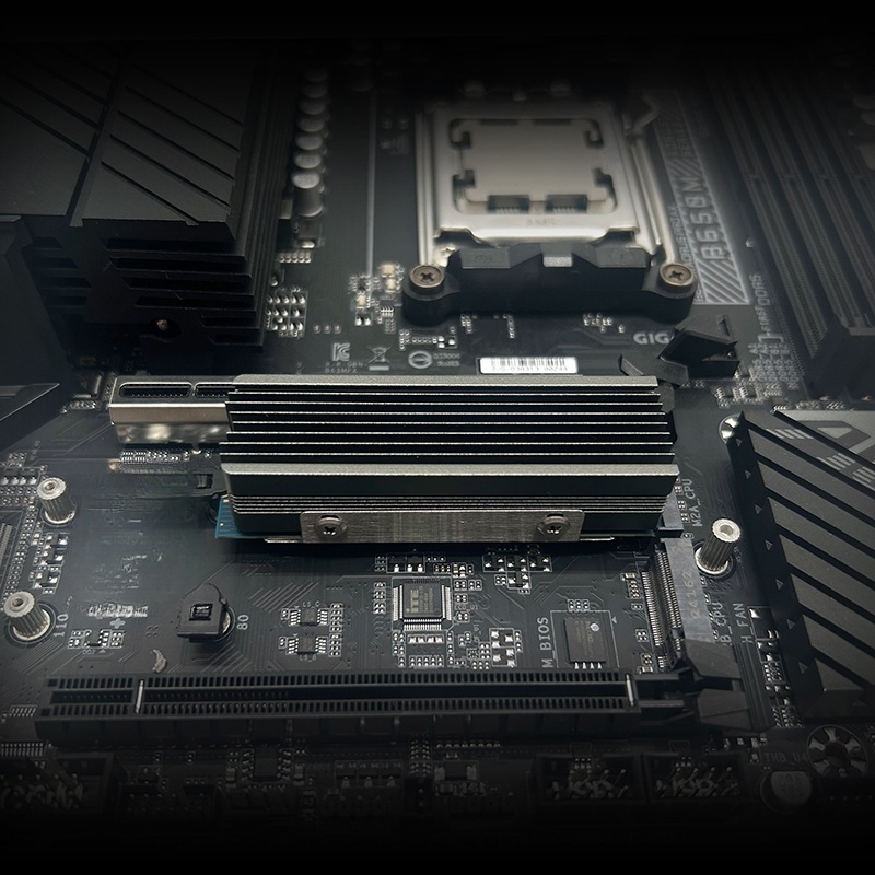 Dual Copper Heat Pipe M.2 SSD  - Board Game Heat review and price