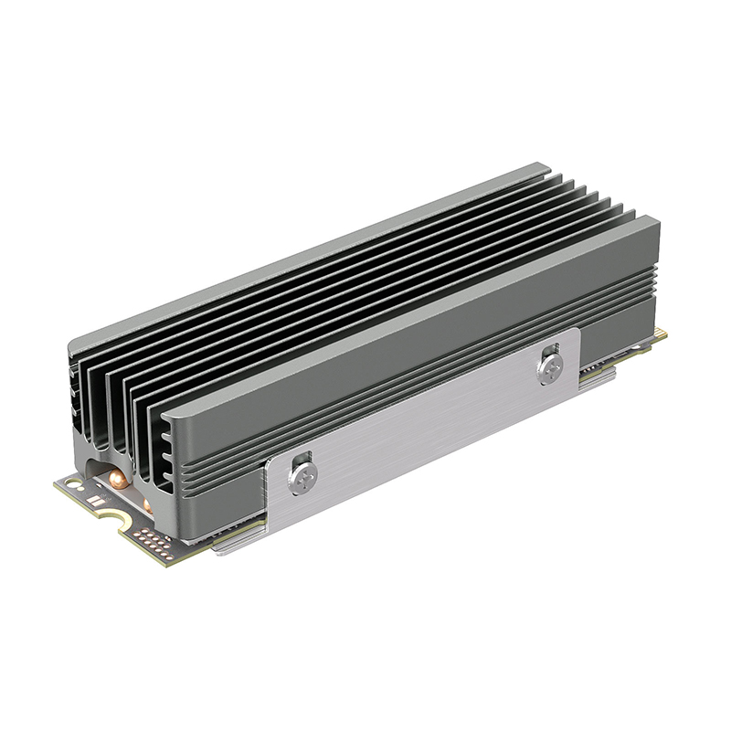 Dual Copper Heat Pipe M.2 SSD  - Board Game Heat review and price